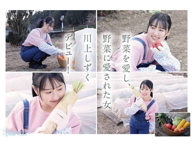 川上しずく cawd00699 新人!kawaiiデビュー農業女子 川上しずく 大自然の力を味方につけた元気いっぱい農業エリートAVデビュー